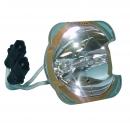 Optoma BL-FU250D - Osram P-VIP Projektorlampe