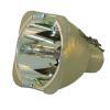 Philips UHP Beamerlampe f. Christie 003-000884-01 ohne Gehuse 00300088401