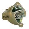 Philips UHP Beamerlampe f. InFocus SP-LAMP-032 ohne Gehuse SPLAMP032