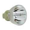 Philips UHP Beamerlampe f. LG electronic AJ-LBX2B ohne Gehuse C0V30592601