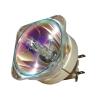 Philips UHP Beamerlampe f. BenQ 5J.J4L05.001 ohne Gehuse 5JJ4L05001