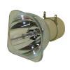Philips UHP Beamerlampe f. InFocus SP-LAMP-093 ohne Gehuse SPLAMP093