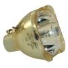 Philips UHP Beamerlampe f. Vivitek 5811116701-SVV ohne Gehuse 5811116701-S
