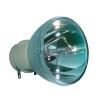 BenQ 5J.JFG05.001 Osram Projector Bare Lamp
