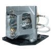 EcoLAP - Acer EC.K0700.001 Ersatzlampe EcoLAP - Acer EC.K0700.001 Ersatzlampe