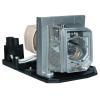 EcoLAP - Acer EC.K0700.001 Ersatzlampe EcoLAP - Acer EC.K0700.001 Ersatzlampe