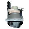 EcoLAP - Acer EC.K0700.001 Ersatzlampe EcoLAP - Acer EC.K0700.001 Ersatzlampe