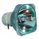 BenQ 5J.JD105.001 - Philips UHP Projektorlampe
