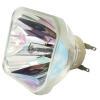 Lutema SWR f. InFocus SP-LAMP-080 SuperWideRange Beamerlampe