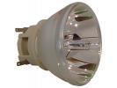 Philips UHP Beamerlampe f. Acer UC.JSF11.001 ohne Gehäuse UCJSF11001