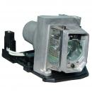EcoLAP  - RICOH 512984 Ersatzlampe EcoLAP  - RICOH 512984 Ersatzlampe