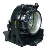 EcoLAP - Hitachi DT00581 Ersatzlampe / Modul DT00581