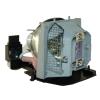 EcoLAP - Dell 310-6747 Ersatzlampe