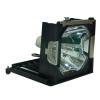 EcoLAP - Sanyo POA-LMP101 Ersatzlampe