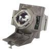 HyBrid UHP - BenQ 5J.JKV05.001 - Philips Lampe mit Gehuse 5JJKV05001