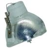 Philips UHP Beamerlampe f. A+K 21 130 ohne Gehuse 21300