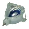 BARCO R9842807 - PHILIPS UHP Beamerlampe w/o Housing