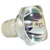 Philips UHP Beamerlampe f. BenQ 5J.JCV05.001 ohne Gehuse 5JJCV05001