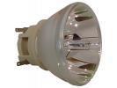 Philips UHP Beamerlampe f. BenQ 5J.JKV05.001 ohne Gehuse