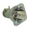 Philips UHP Beamerlampe f. InFocus SP-LAMP-044 ohne Gehuse SPLAMP044