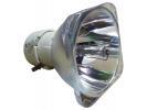 Philips UHP Beamerlampe f. BenQ 5J.J8F05.001 ohne Gehuse 5JJ8F05001