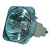 Osram P-VIP Beamerlampe f. Optoma BL-FP260A ohne Gehäuse DE.5811100038